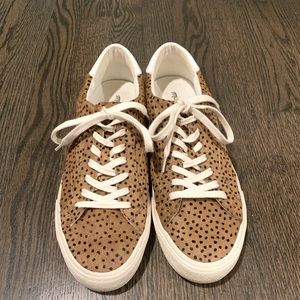 Madewell Sidewalk Sneakers in Spot Dot Calf Hair